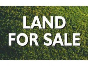 Plot for sale in Ayapakkam Bhavani nagar Chennai Plot sale at Ayapakkam Bhavani nagar Chennai